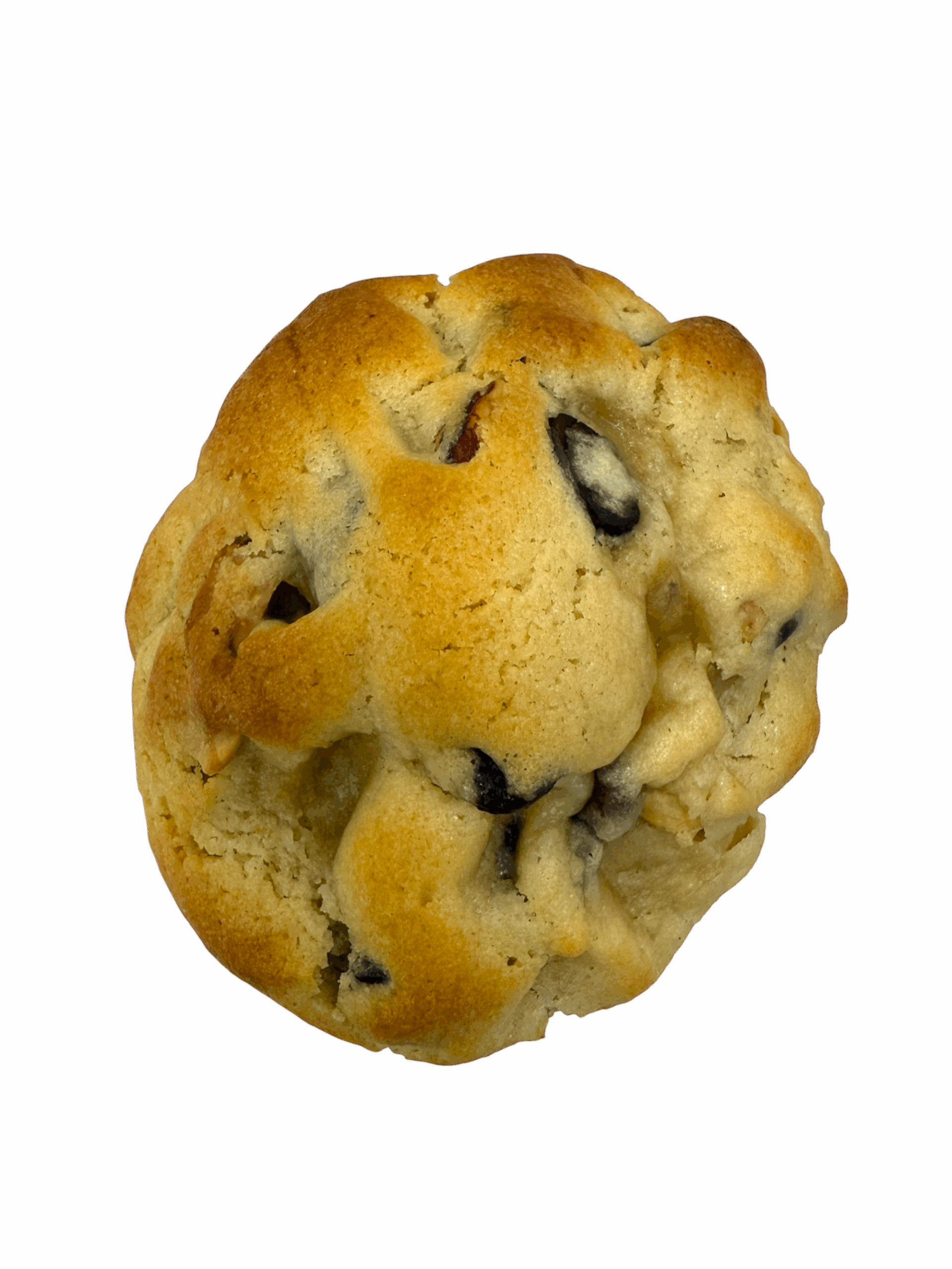 New York Style Chocolate Chip Cookie